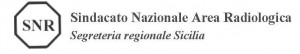 conferenza_del_fassid_snr_sulle__prestazioni_sanitarie_